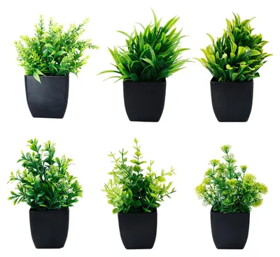 Image de 6 petites plantes artificielles en pot, mini-plantes décoratives artificielles, décorations artificielles en plastique pour le bureau, l'appartement, le balcon et la salle de bains.