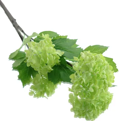 Produktbild von GASPER Schneeball-Zweig hellgrüne Blüten 51 cm - Kunstblumen