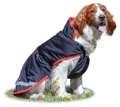 Image de Bucas Freedom Dog 50g - Cerise - Taille 35