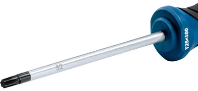 Productafbeelding van Schroevendraaier, TX25 x 100