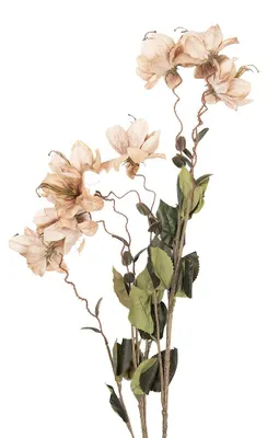 Immagine prodotto di Clayre & Eef Fiore artificiale 120 cm Beige Plastica