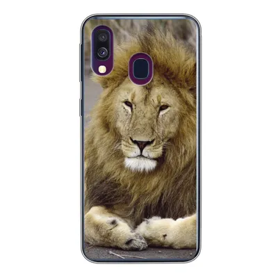 Produktbild von MuchoWow® Handyhülle Schutzhülle Hülle für Samsung Galaxy A40 Löwe - Afrika - Tier Silikon Softcase Handy Hülle - Handy-Tasche