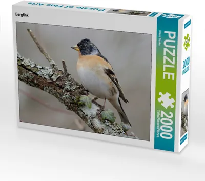 Produktbild von CALVENDO Puzzle Bergfink 2000 Teile Puzzle quer | 2000 Teile Lege-Größe 90x67cm Foto-Puzzle für glückliche Stunden