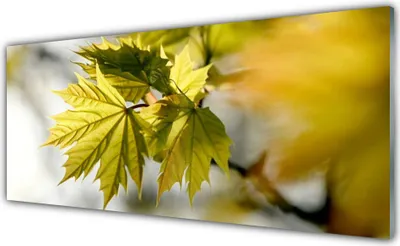 Produktbild von Glasbilder 125x50 Wandbild Druck auf Glas Blätter Pflanzen