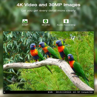Immagine prodotto di Telecamera da caccia - Telecamera per la fauna selvatica - Telecamera da esterno - Visualizzazione in diretta 4G - Sensore da 36MP, risoluzione 4K Ultra HD