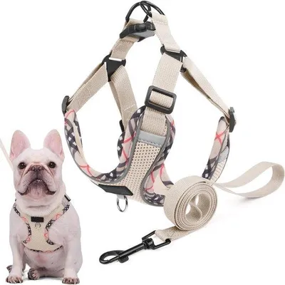 Produktbild von Famanu Hundegeschirr mit Leine - Anti-Ziehgeschirr für kleine und mittelgroße Hunde - reflektierend und gepolstert - beige - XL