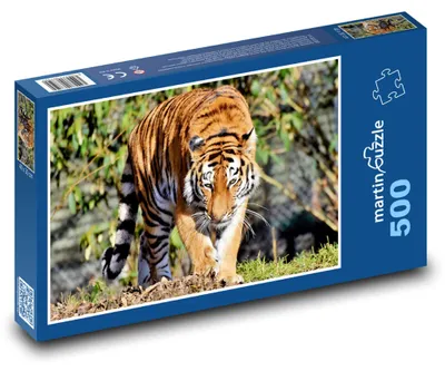 Obrázok produktu pre Puzzle 500 Tiger v divočine - martinpuzzle