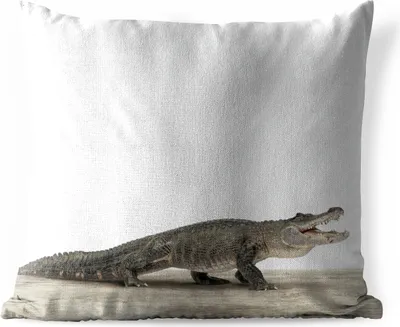 Produktbild von MuchoWow® Outdoor Kissen - Kinder - Krokodil - Junge - Kinder - Mädchen - 40x40 cm - Wetterfest - Lounge Kissen - Kopfkissen - Interieur - Polster mit Bild