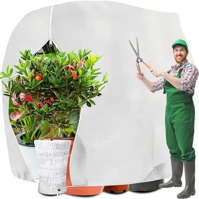 Image de Protection hivernale pour plantes, dimensions 160 x 240 cm, couleur blanche