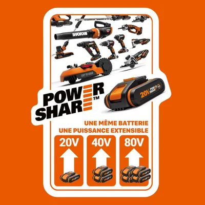 Image de Batterie et chargeur WORX 20 V, 4 Ah