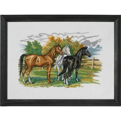 Produktbild von Eva Rosenstand Kreuzstich Set "3 Pferde", Zählmuster, 47x34cm