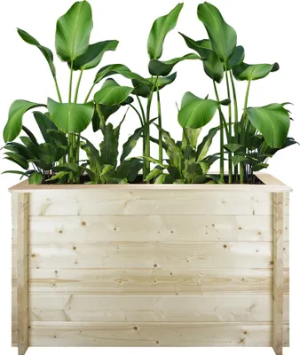 Obrázok produktu pre Vyvýšený záhradný záhon drevený - 118x38xH69 cm - Vyvýšené záhradné záhony - Záhon na bylinky - Záhon na kvety - Masívne 28 mm borovicové/smrekové drevo - TIMBELA M615-1