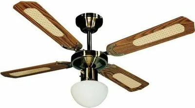 Image de Ventilateur de plafond avec lumière FARELEK BALI Ø107 cm