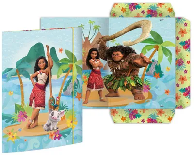 Image de RNK Verlag 45399 RNK Verlag Chemise à dessins « Disney Vaiana », carton, format A3