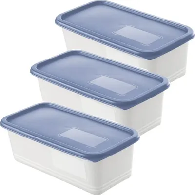 Produktbild von Rotho Gefrierdosen-Set Domino 3 x 1,2 l horizon blau