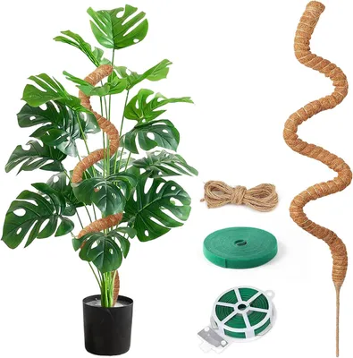 Imagen del producto de Soporte para plantas Monstera, palo de musgo de 125 cm, con accesorios, para plantas de interior