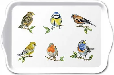 Produktbild von Tablett Melamin 21x13cm mit Singvögel Motiv Weiß / Bunt