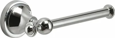 A chrome toilet paper holder is shown against a white background.