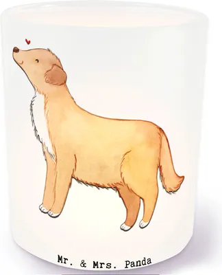 Produktbild von Mr. & Mrs. Panda Glas Windlicht Nova Scotia Duck Lebensretter - Transparent - Geschenk, Teelichthalter, Retriever, glaswindlicht, Tolling, Kerzenglas