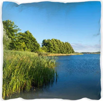 Produktbild von Wallario Premium Kissen, weiche Oberfläche, mit Motiv Malerischer See mit Schilf unter blauem Himmel, Größe: 60 x 60 cm, mit weißer Rückseite