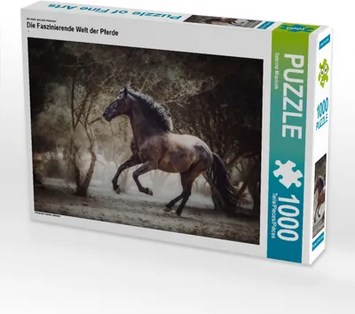 Produktbild von CALVENDO Puzzle Ein Motiv aus dem Kalender Die Faszinierende Welt der Pferde | 1000 Teile Lege-Größe 64x48cm Foto-Puzzle für glückliche Stunden