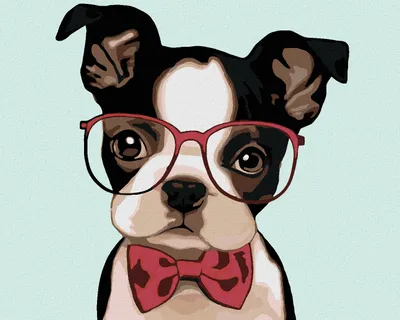 Produktbild von Zuty - Malen nach Zahlen - BULLDOGGE MIT BRILLE, 40x50 cm, ohne Keilrahmen