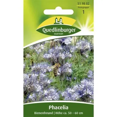 Immagine prodotto di Quedlinburger Saatgut - Phacelia Bienenfreund - Semi - 519802