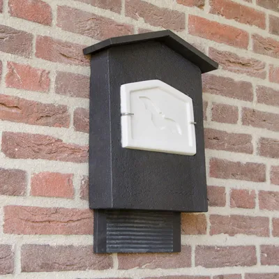 Produktbild von Fledermauskasten „Chillon“
