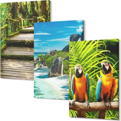 Produktbild von Leinwandbilder – Wandbilder – Leinwandbild – Canvas Bild – Polycanvas – Kunstdruck –  – Modern – Aufhängefertig – Mehrteilig – 3-Teilig – 40x60 Cm Pro Bild - Tropischer Wald mit Wasserfall und bunten Papageien