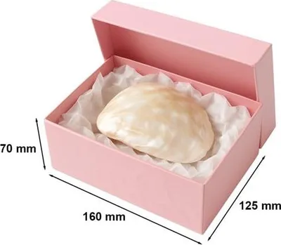 Obrázek produktu pro Laminovaná dárková krabička 160 x 125 x 70 mm, růžová