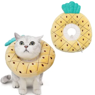 Produktbild von ANWA Verstellbares Katzen-Kegelhalsband, weich, niedliches Katzen-Halsband, Katz