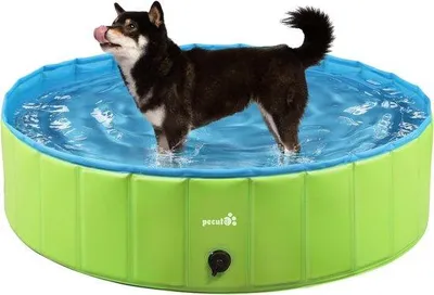 Produktbild von Famanu Hundepool - Faltbares Kinder- und Hundebad - 80 x 20 cm - 100L