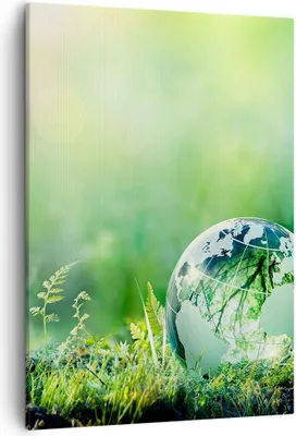 Produktbild von Bild auf Leinwand - Leinwandbild - Einteilig - natur natur - 50x70cm - Wand Bild - Wanddeko - Wandbilder - Leinwanddruck - Kunstdruck - Wanddekoration - Leinwand bilder - Wandbild - PA50x70-4041