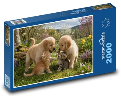 Produktbild von Puzzle 2000 Welpen und Kätzchen - martinpuzzle