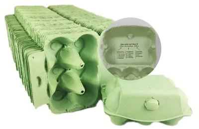 Eierdozen für 6 Eier, 50 Stück, grün, ohne Aufdruck