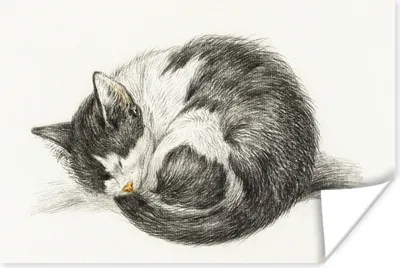 Produktbild von MuchoWow® Poster Schlafende Katze zusammengerollt - Gemälde von Jean Bernard 60x40 cm - Schlafzimmerdekoration