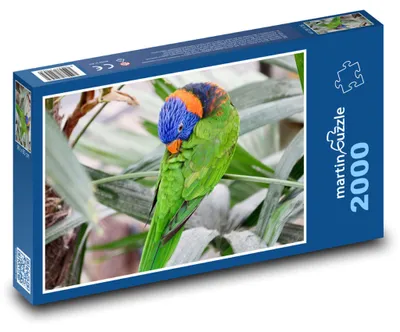 Produktbild von Puzzle 2000 Regenbogenpapagei im Regenwald - martinpuzzle
