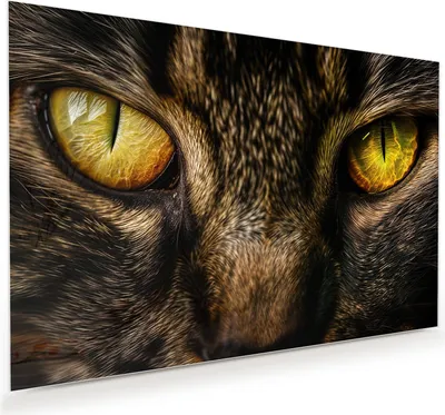 Produktbild von Glasbild 60x40cm in XXL für Wohnzimmer, Schlafzimmer Motiv Katzenaugencloseup