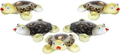 Produktbild von Magnet Schildkröte - lustige Magnete aus Muscheln  - 5 Stück im Set