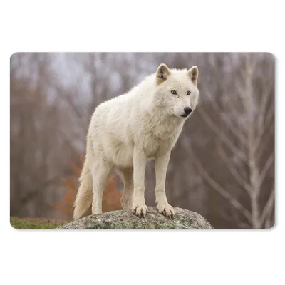 Produktbild von MuchoWow® Mauspad Mousepad Wolf - Stein - Weiß 27x18 cm - Mousepads - Maus Mat - Pad - Mausunterlage - Büroartikel - Desk Matten