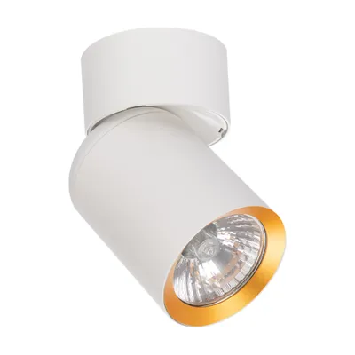 Produktbild von Beweglicher Deckenspot, weiß mit goldener Innenseite, 1xGU10 10W, Andy Milagro