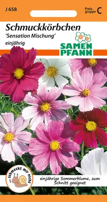 Artikelbild 1 von 'Cosmea Mischung' aus der Kategorie Cosmeasamen