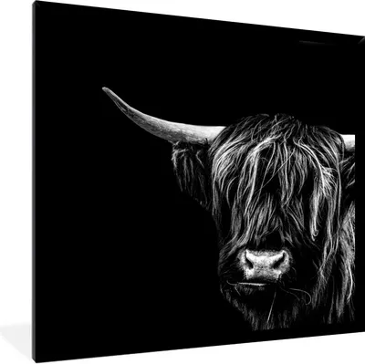 Produktbild von MuchoWow® Gerahmtes Poster Schottischer Highlander - Horn - Schwarz - Weiß 40x40 cm - Poster mit Schwarzem Bilderrahmen Wandposter Rahmen Foto Bilder - Mit Rahmen - Wanddekoration Schlafzimmer