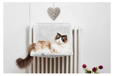 Produktbild von GLORIA 8432288110119 Bora Bora Hammock für Katzen, BI, 150 g