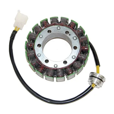 Image de 270-006 Stator ElectroSport ESG060