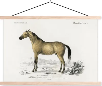 Produktbild von MuchoWow® Textilposter Pferd - Vintage - Tier 120x80 cm mit holzfarbenen Rahmen - Aufhängeset