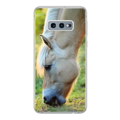 Produktbild von MuchoWow® Handyhülle Schutzhülle Hülle für Samsung Galaxy S10e Weidendes Fjordpferd an einem Sommertag Silikon Softcase Handy Hülle - Handy