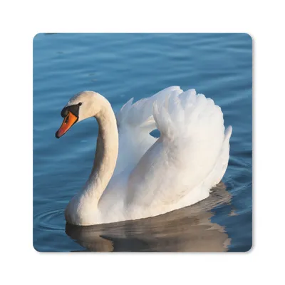 Produktbild von MuchoWow® Mauspad Mousepad Schwan - Wasser - Vogel - Weiß 30x30 cm - Mousepads - Maus Mat - Pad - Mausunterlage - Gaming
