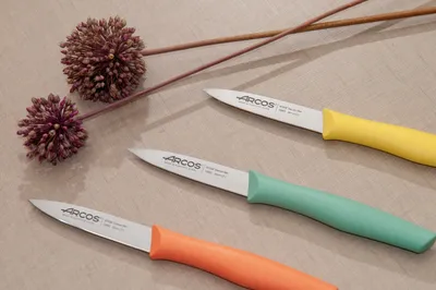 Zdjęcie produktu dla ARCOS 859800 12 szt. Zestaw noży Nova Mondadores