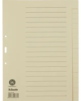Produktbild von Esselte Register 621006 blanko DIN A4 20Bl. Papier chamois